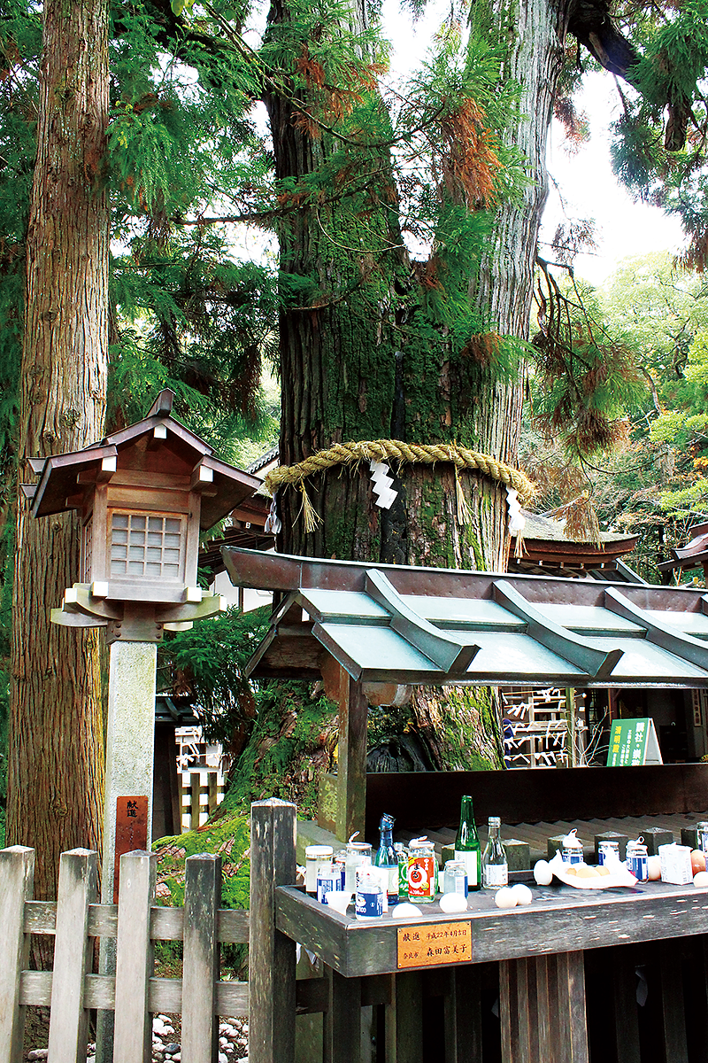 大神神社(おおみわじんじゃ)