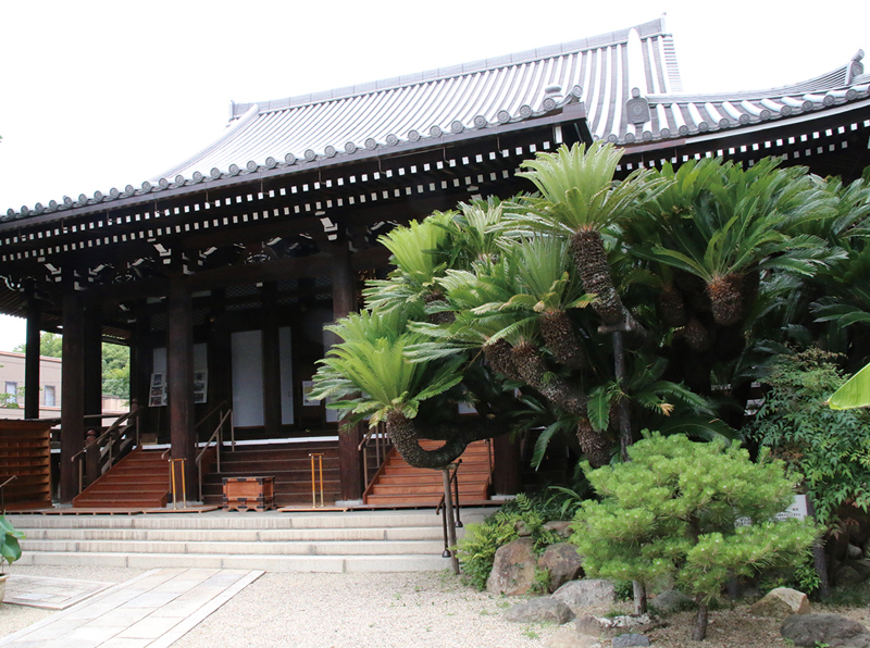 淨教寺（じょうきょうじ）