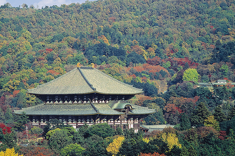 東大寺大仏殿〈国宝〉