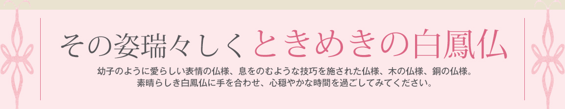 その姿瑞々しくときめきの白鳳仏