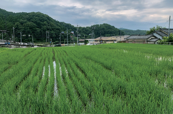 脇本遺跡