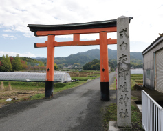 参道入口の鳥居