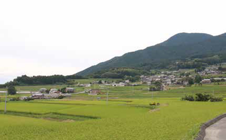 高鴨神社東の風の森峠付近（御所市）