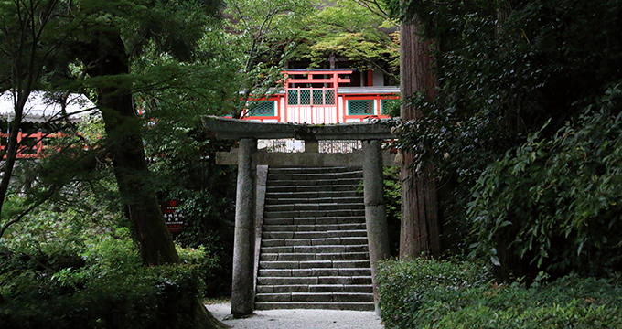 高鴨神社