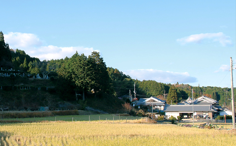 檜原神社の南に立つ山辺道の碑