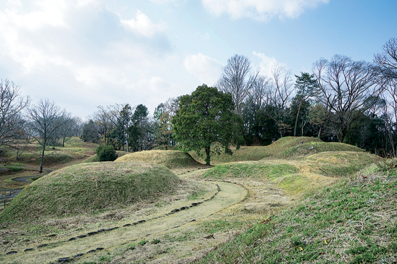 新沢千塚古墳群公園