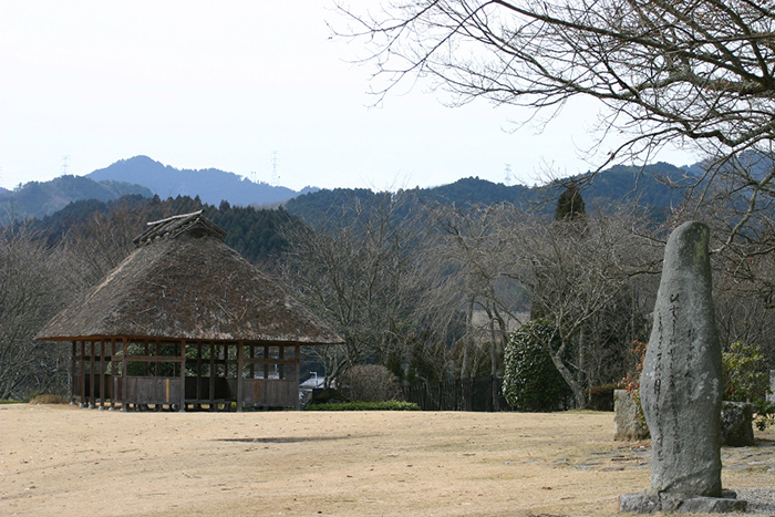 かぎろひの丘万葉公園_画像