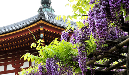 興福寺 南円堂（こうふくじ なんえんどう）