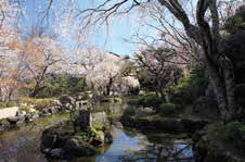 竹林院