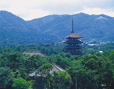 興福寺